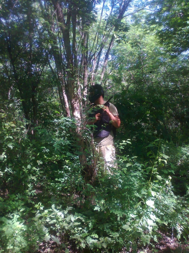 Escenarios natural jungla